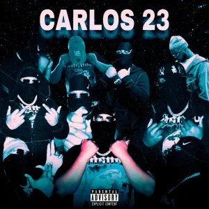 23