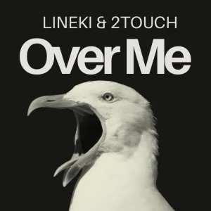 Over Me (Infusion Remix)