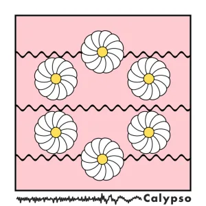 Calypso