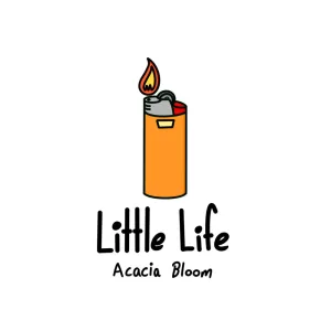 Little Life