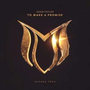 To Make a Promise