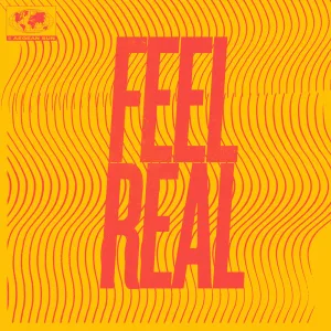 Feel Real