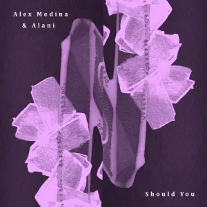 Should You