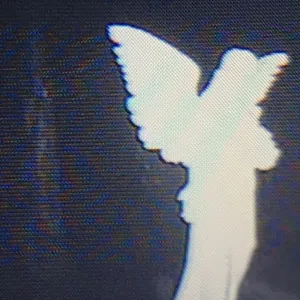 555