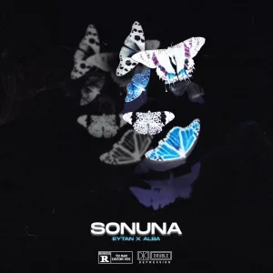 Sonuna