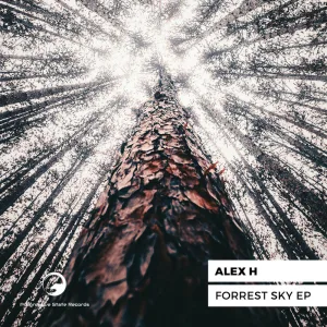 Forrest Sky