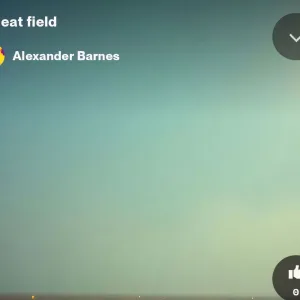 wheat Fields