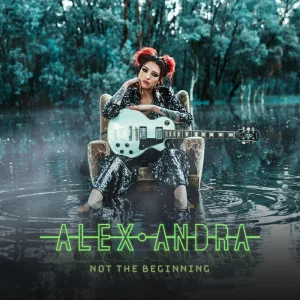 Not The Beginning