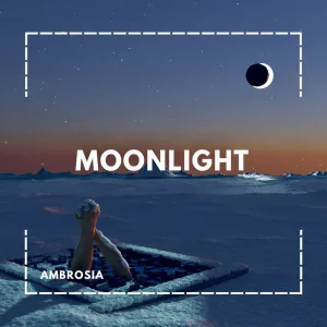 Moonlight