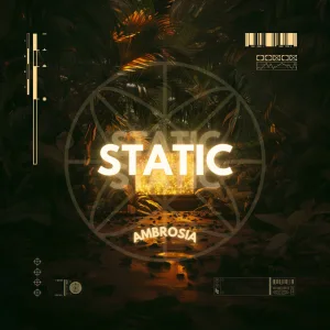 Static