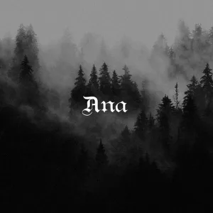 A New Chapter