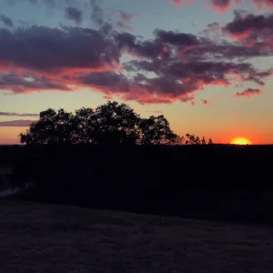 Setting Down