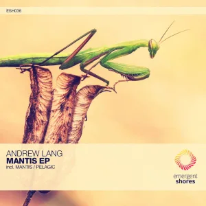 Mantis