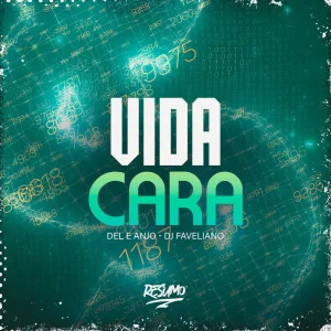 Vida Cara
