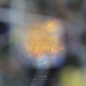 resin