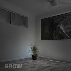 Grow