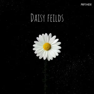 Daisy fields