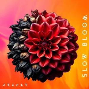 Slow Bloom