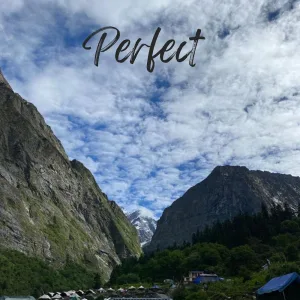 Perfect