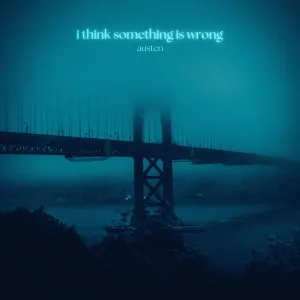 i think something is wrong