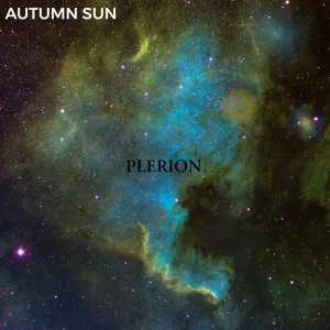 Plerion