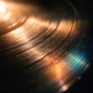 Vinly Dust