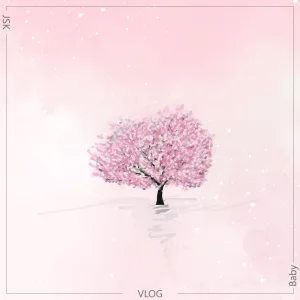 Vlog
