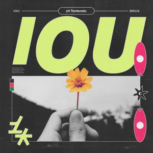 IOU (Extended Mix)