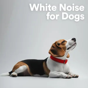 Dog Sleep Sound Machine