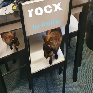Rocx