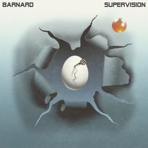 Supervision