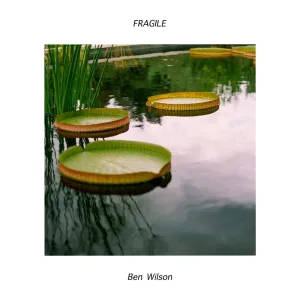 Fragile