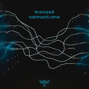 Connections
