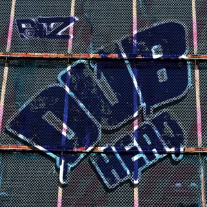 Dubiator House