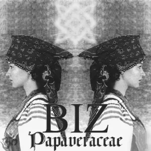 Papaveraceae