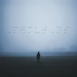 Follow Me (ÆON:MODE Remix)