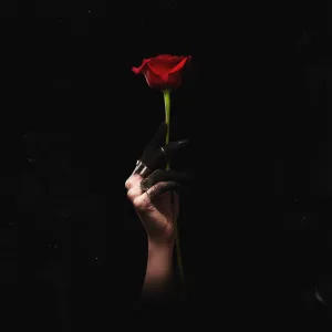 Fragile Violence feat. Nevve