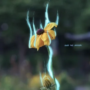 How It Feels