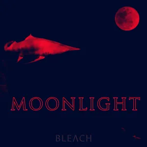 Moonlight