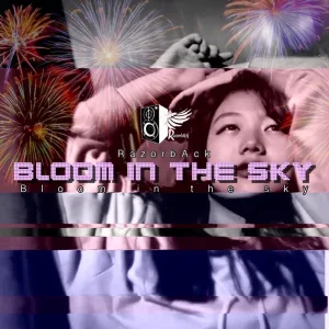 In the Sky