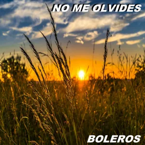 Llegaste Tu