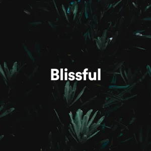 Blissful