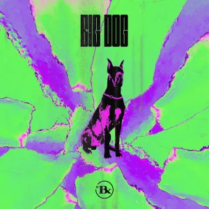 Big Dog
