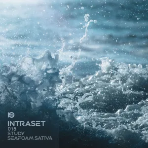 Ecstasy
