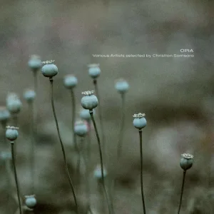 Asthenia