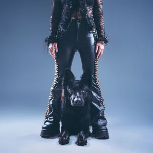ANIMAL