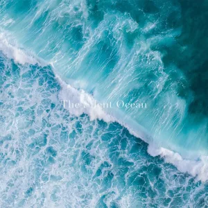 Silent Current