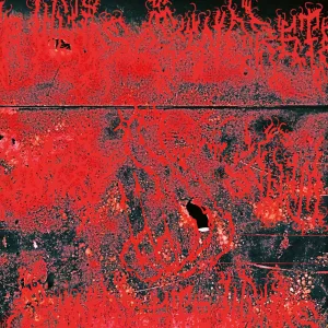 Systematic Distortion