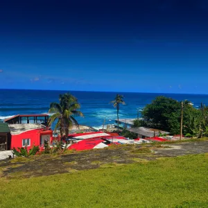 vieques