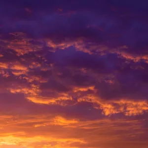 Sunset With You